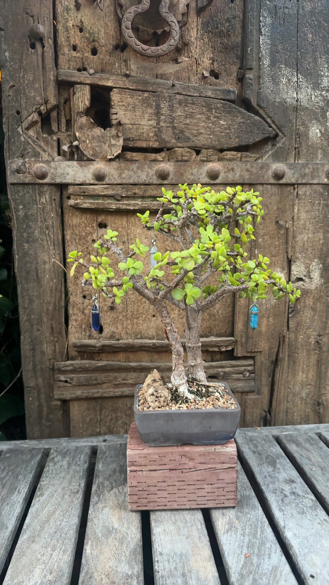 Decorated Jade Bonsai Tree with Crystal Ornaments & Display Stand