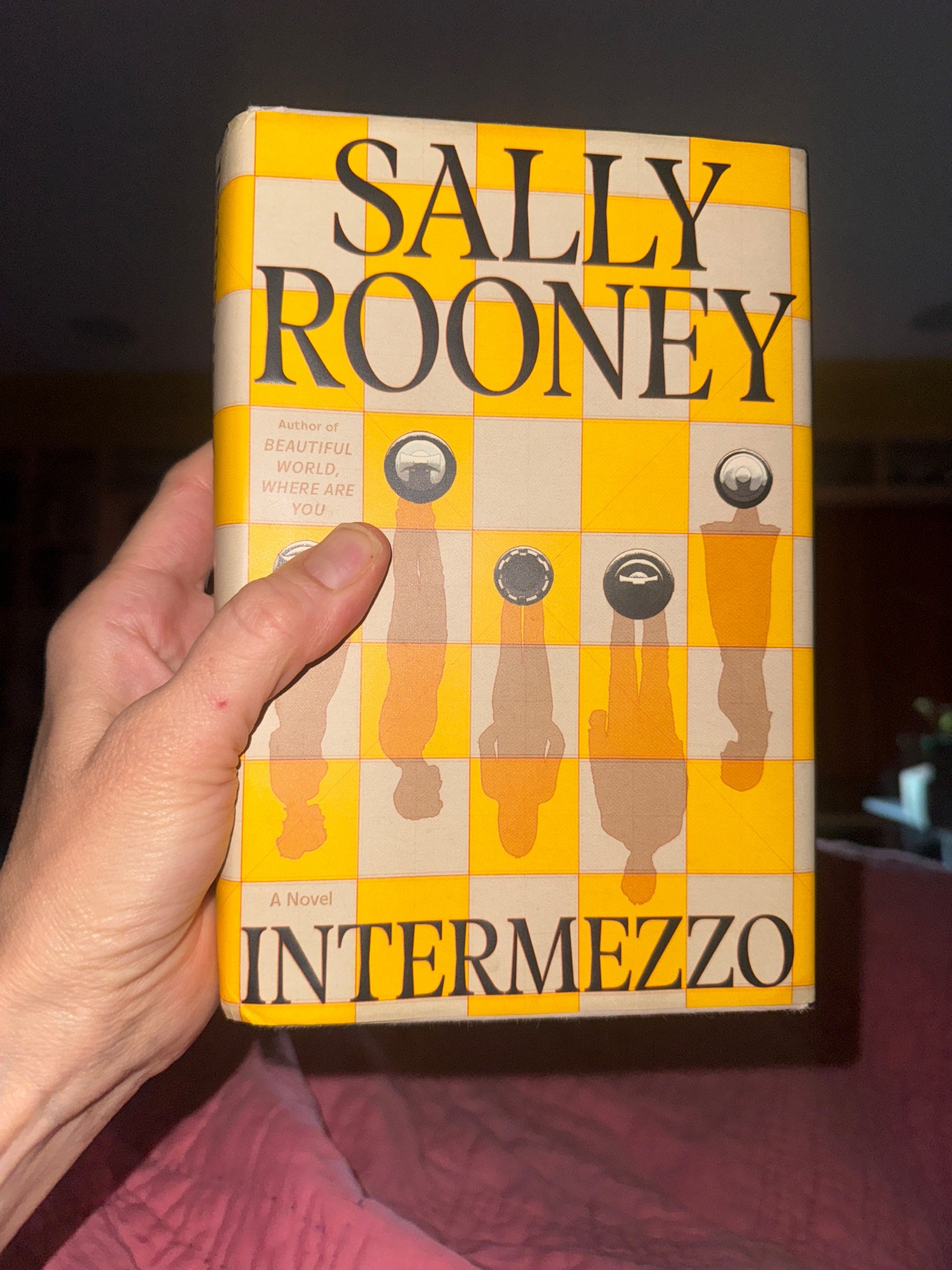 Intermezzo by Sally Rooney Hardcover Novel